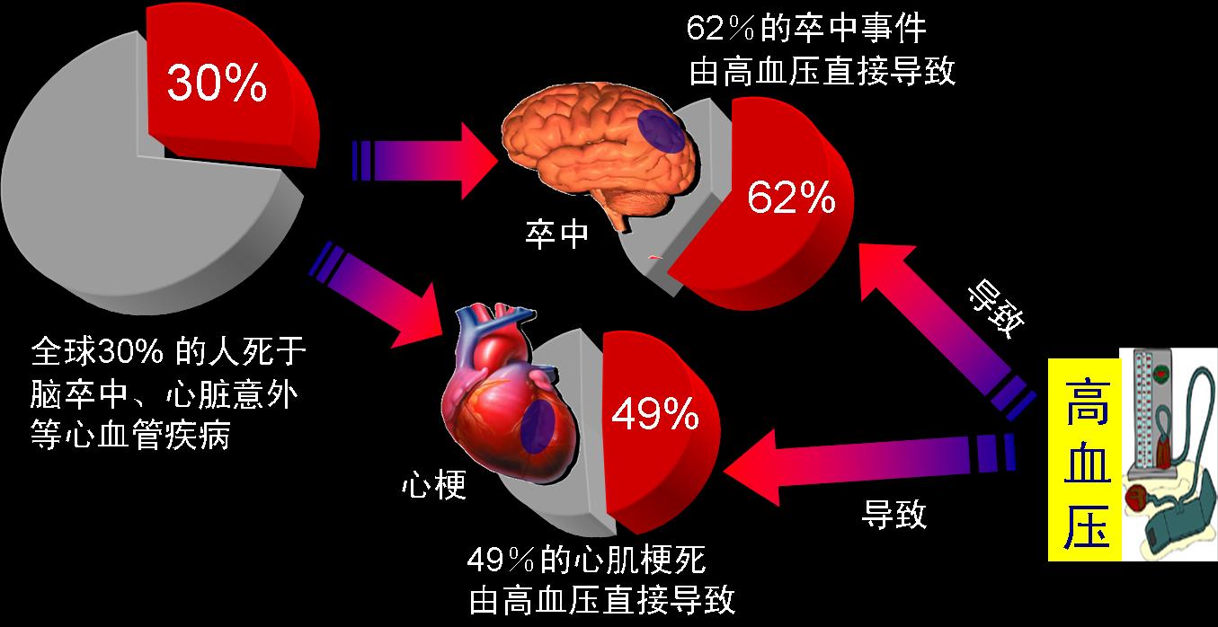 凝结芽胞杆菌竟这么厉害?降压、降脂、降血糖!