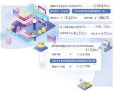 半年报显示多数公司营收增长，消费金融迈入稳步发展轨道