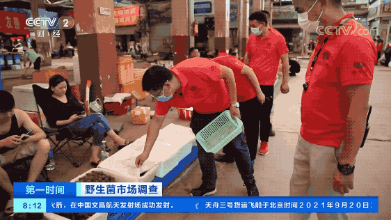 野生菌价格一路飙涨!有的卖到1300元1公斤!
