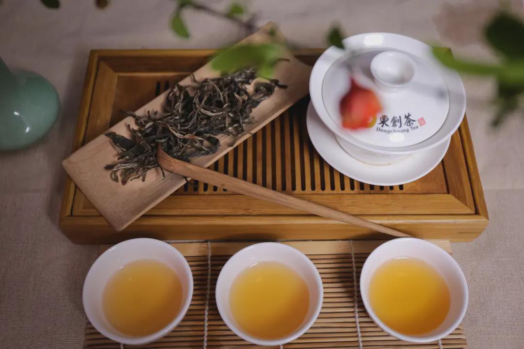 大夫山茶养城 掀起广州茶业市场旋风