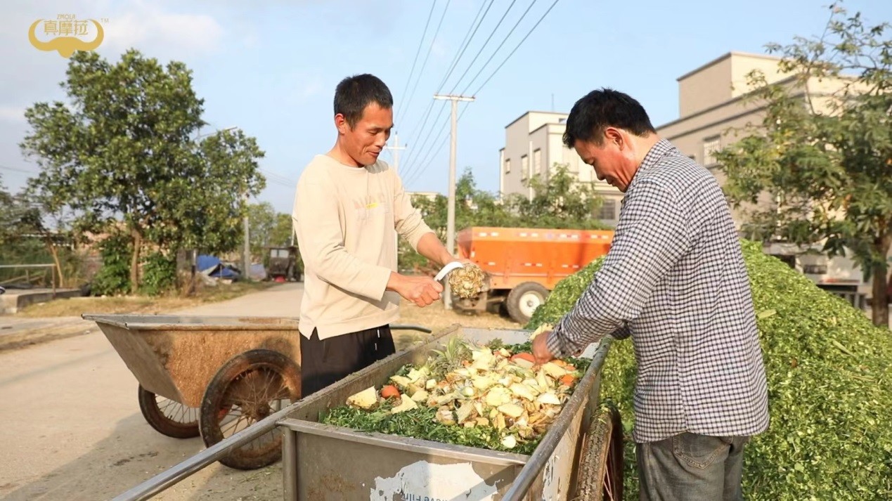 真摩菈：高营养低负担，水牛奶“轻”饮新选择