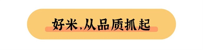 2022干饭指南，饭商升级吃好点！