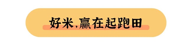 2022干饭指南，饭商升级吃好点！