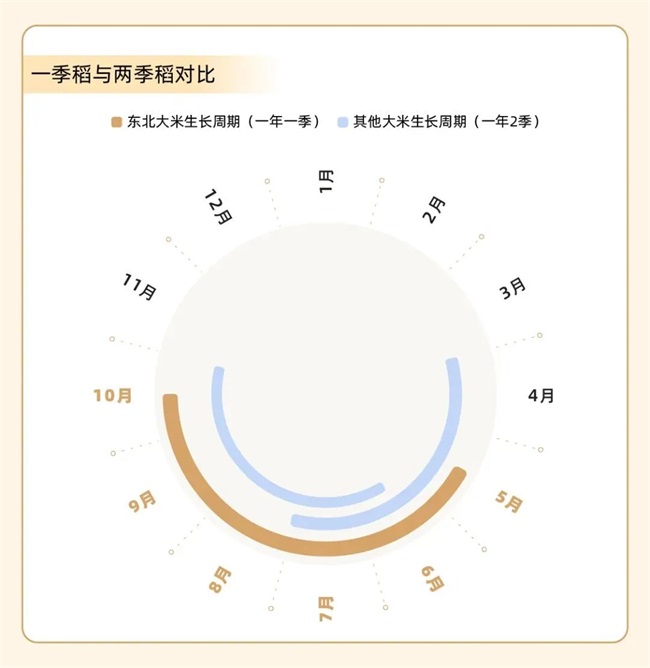 2022干饭指南，饭商升级吃好点！