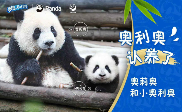 奥利奥跨界大熊猫：这波“玩在一起”的操作，浑然天成又惊喜值爆表！