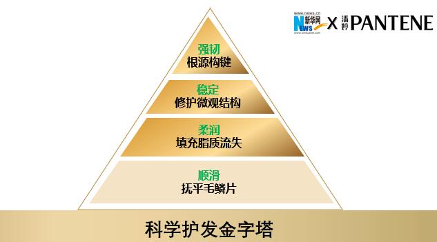 潘婷携手新华网共同打造《科学护发金字塔》——引领消费者科学护发新风向