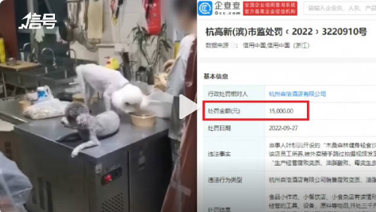 杭州一酒店内宠物狗舔食外卖店家被罚1.5万
