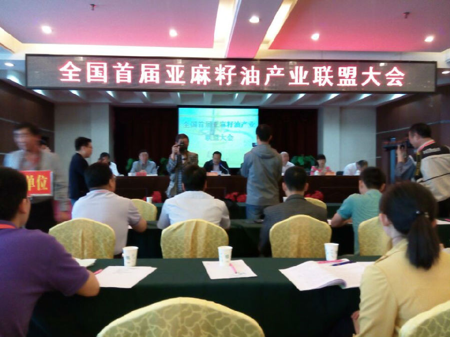 丰吉妙参加2O15年5月22日在西安曲江举办的西洽会