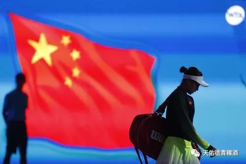 天佑德形象大使——中国网球运动员张帅获“影响世界华人大奖”
