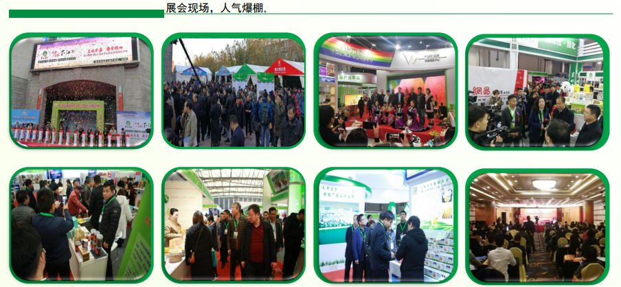 FineFood Expo2019中国（上海）国际食品博览会