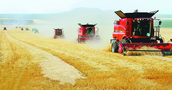 2020年全国大规模小麦跨区机收全面展开