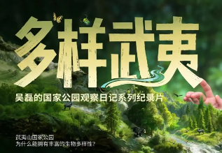 《多样武夷》纪录片今日发布 吴磊呼吁关注生物多样性保护 