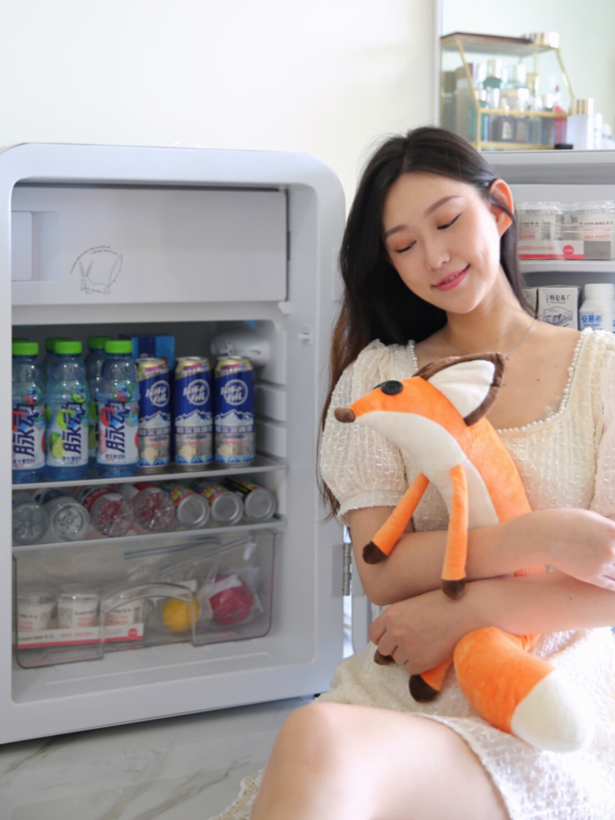 HCK哈士奇小王子复古冰箱，装满夏天和快乐