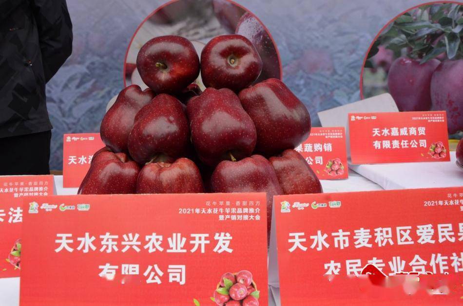 天水花牛苹果品牌推介暨产销对接活动在甘肃举行