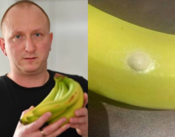 英国男子在超市购买香蕉的上面发现剧毒蜘蛛卵