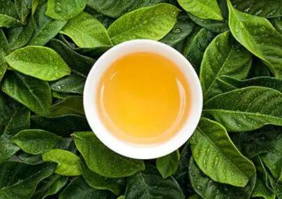 中颂茶业，好茶好产品才有竞争力